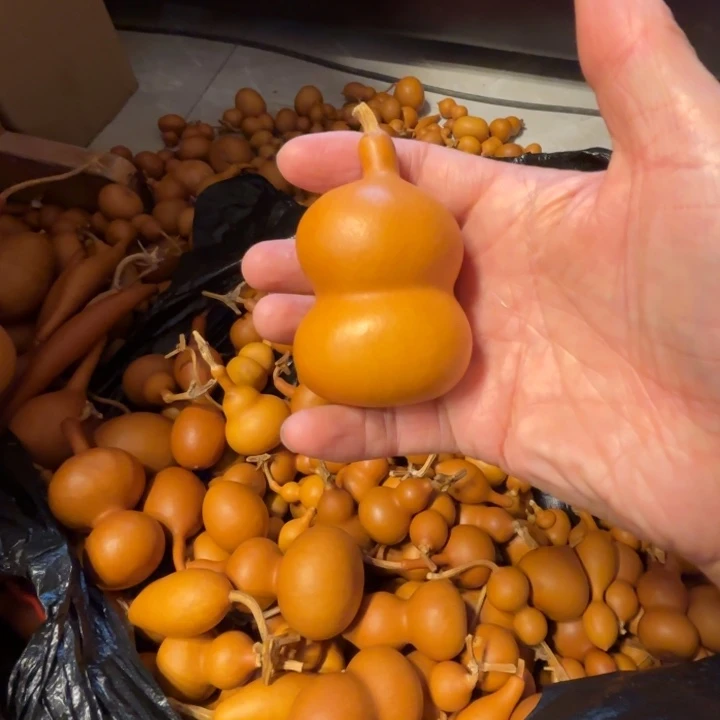 傅****?拨打刘蓉的一把钱袋子，你把钱带走带