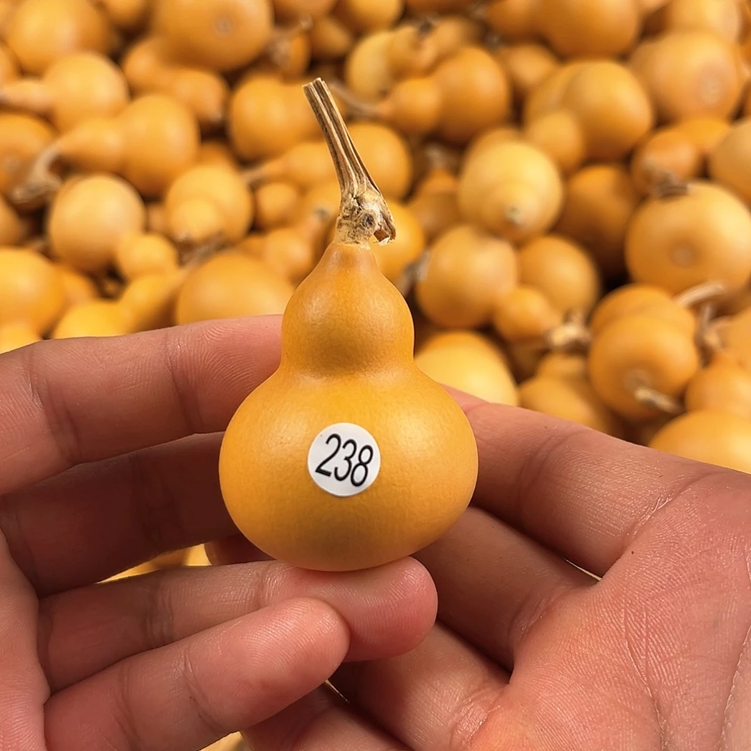 葫芦葫芦葫芦葫芦238