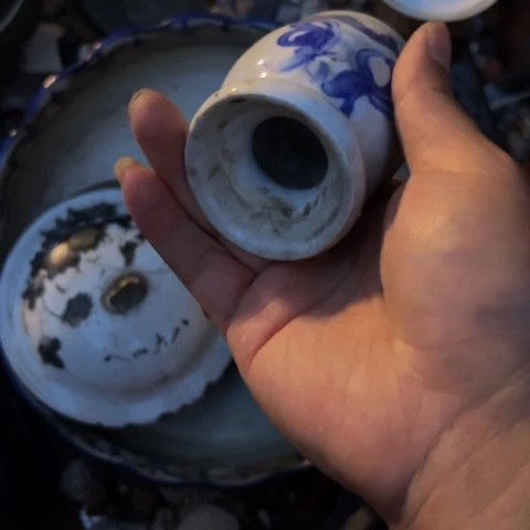 杂色豆（科檀/科特迪瓦檀木）一*