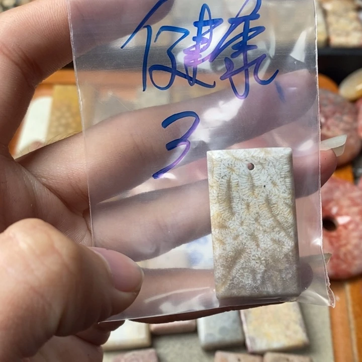 硅化玉颈饰足金镶嵌健**宁