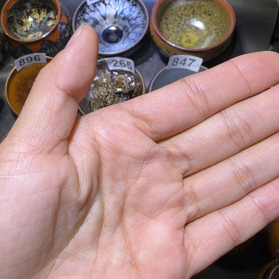 向***走茶盏福建盏茶器中