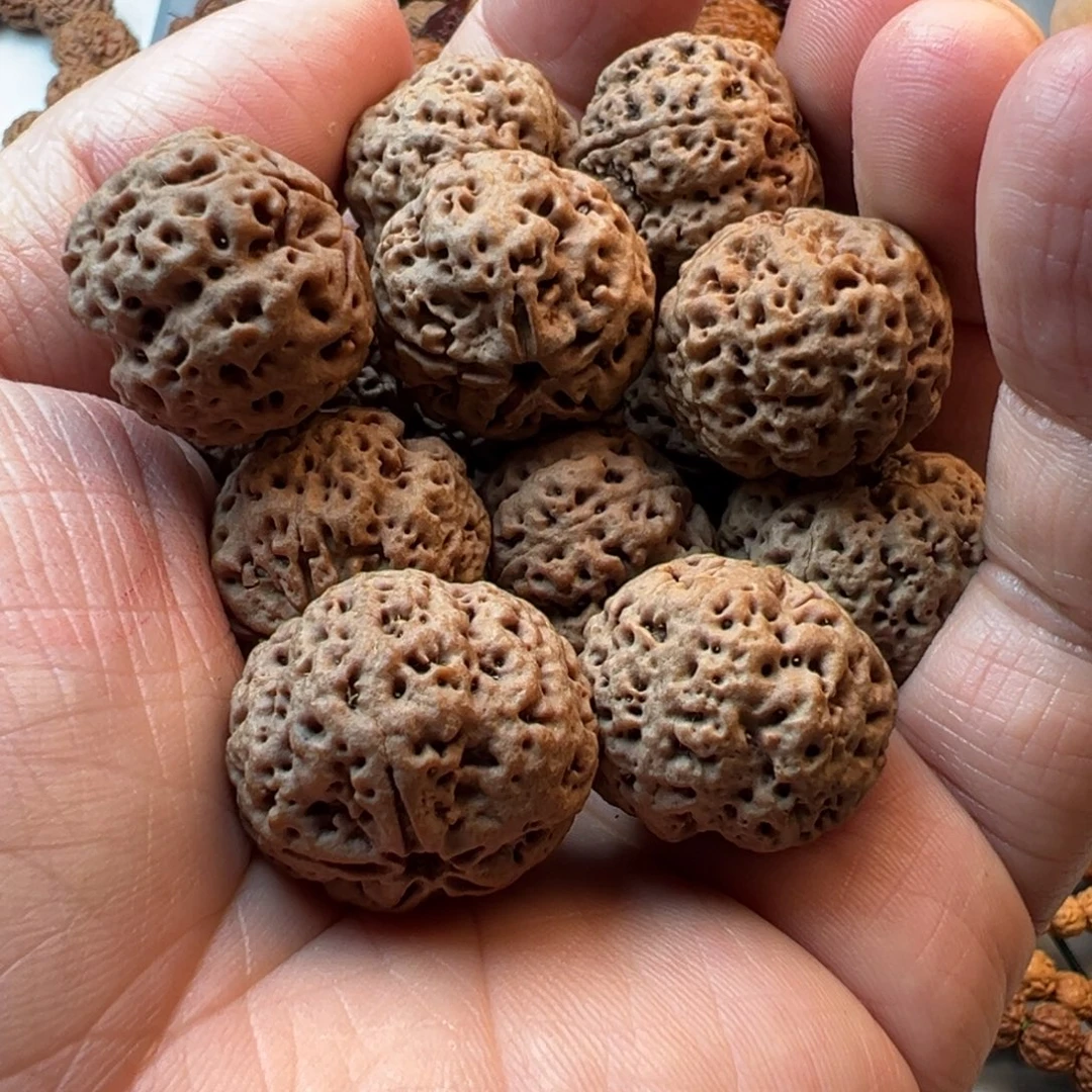 金刚菩提吊坠5瓣22➕飓肉蜂王