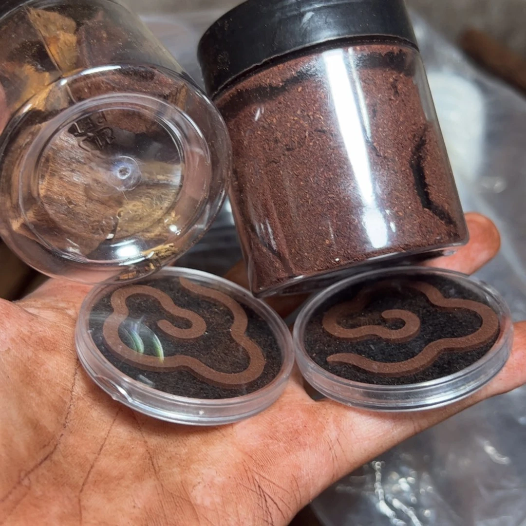 w***e其他降真香原材料原材料直发