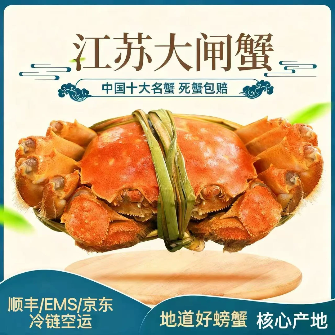 福蟹禄农【活蟹现发】大闸蟹 全母10只3.2～2.9两 到手8+2只YZ