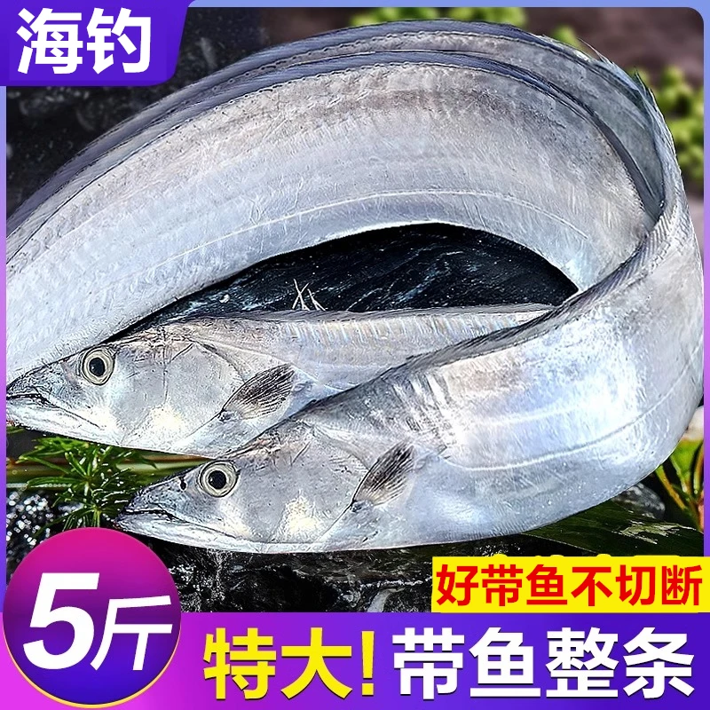 整条带鱼新鲜冷冻刀鱼特级大号东海小眼深海鱼鲜活海鲜冰鲜