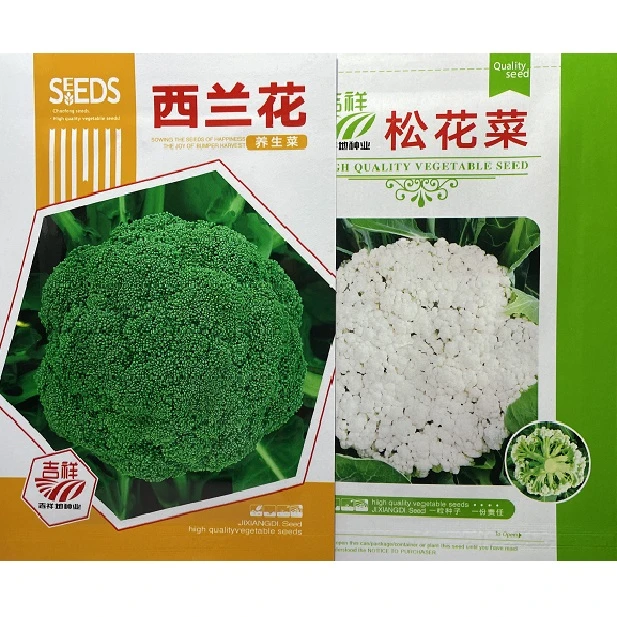 西兰花种子+松花菜籽  颈部不空心   白花球松  大  白