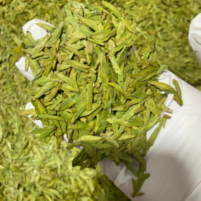 明前头采绿茶C款 2025年新茶绿黄版清豆香型峁峰龙井