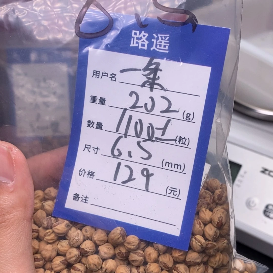 柏香籽/百香籽吊坠一*