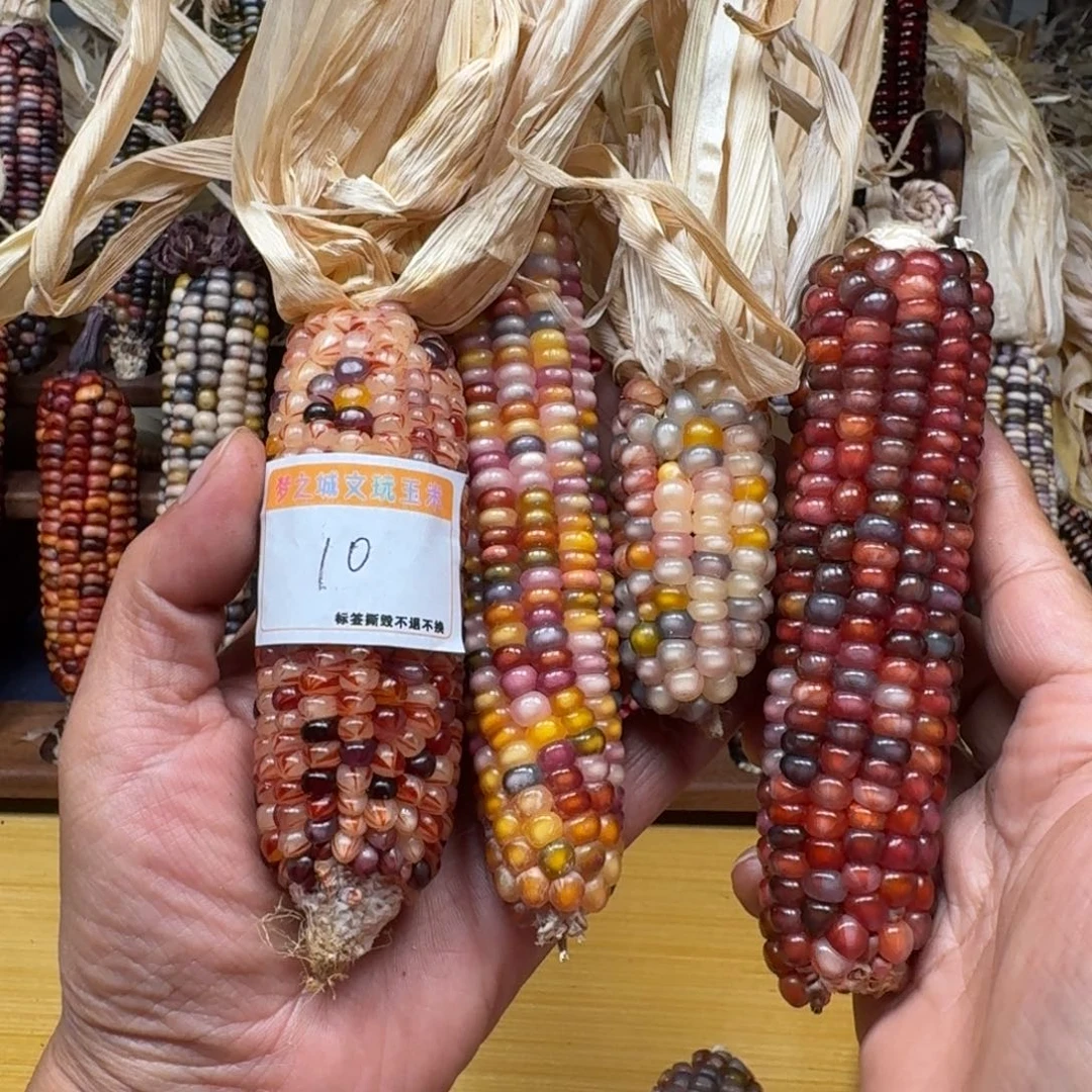 我***莱柏香籽/百香籽吊坠