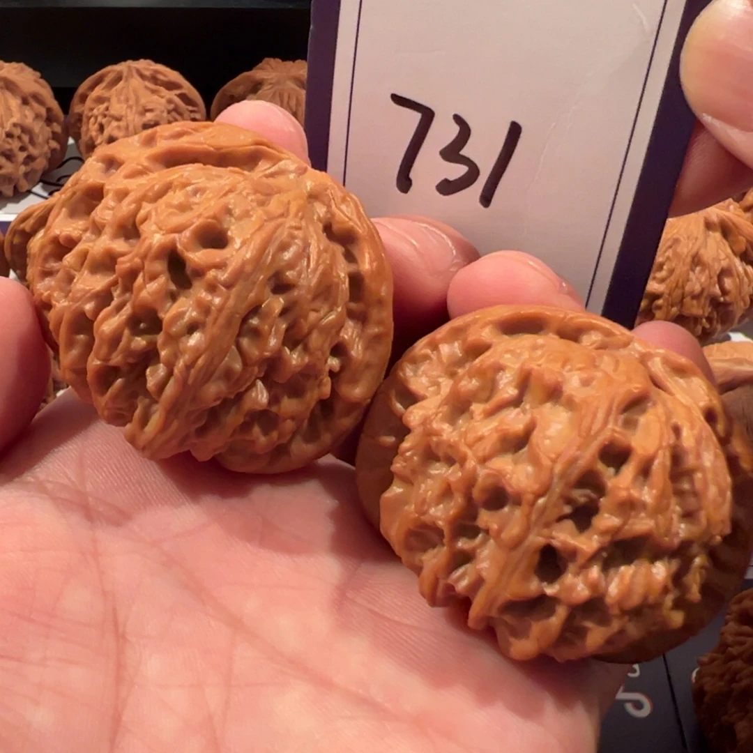 文玩核桃把件全品闷尖白狮子47尺寸731号