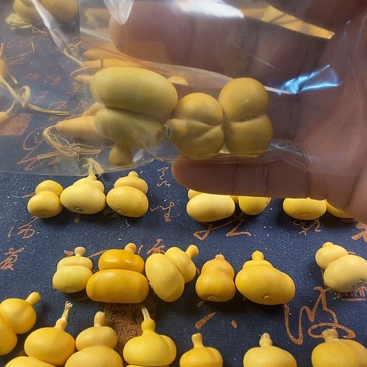 姜****人葫芦头葫芦葫芦葫芦