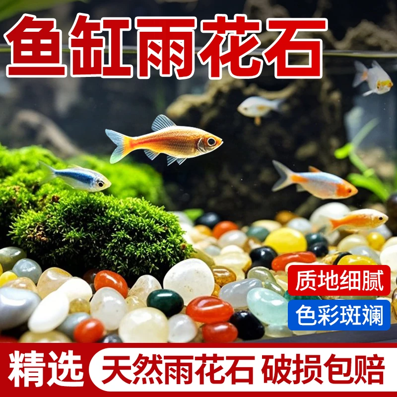 【鱼缸造景专用】南京雨花石原石天然鹅卵石多肉铺面鱼缸石装饰花盆
