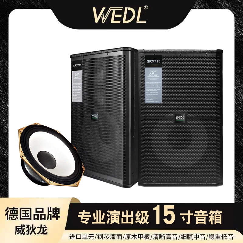德国威狄龙WEDL户外单十五低音260磁钕磁100芯高音高品质音箱
