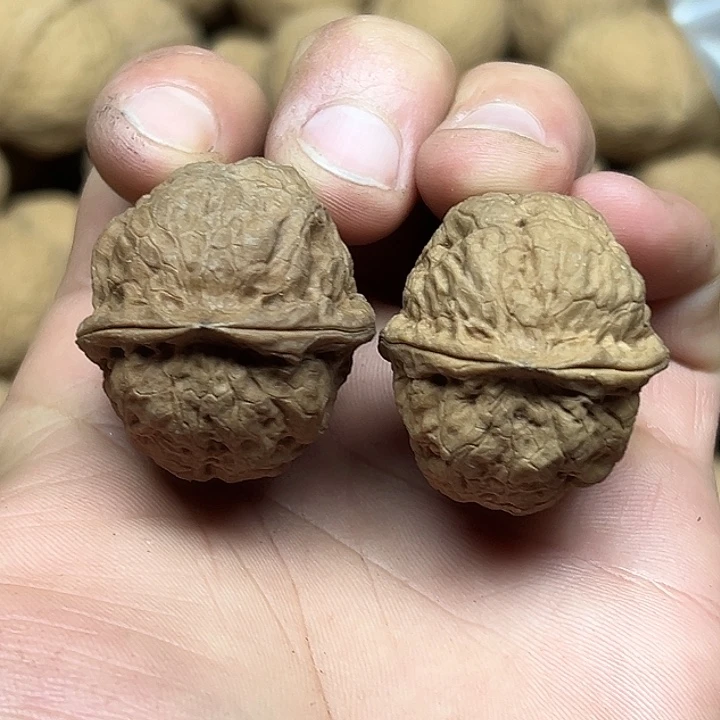 文玩核桃把件尖头蟾34尺