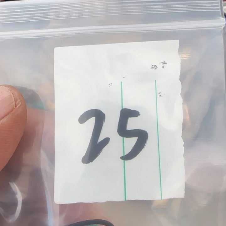 W****吊坠金刚菩提桑杰出品小元素配饰