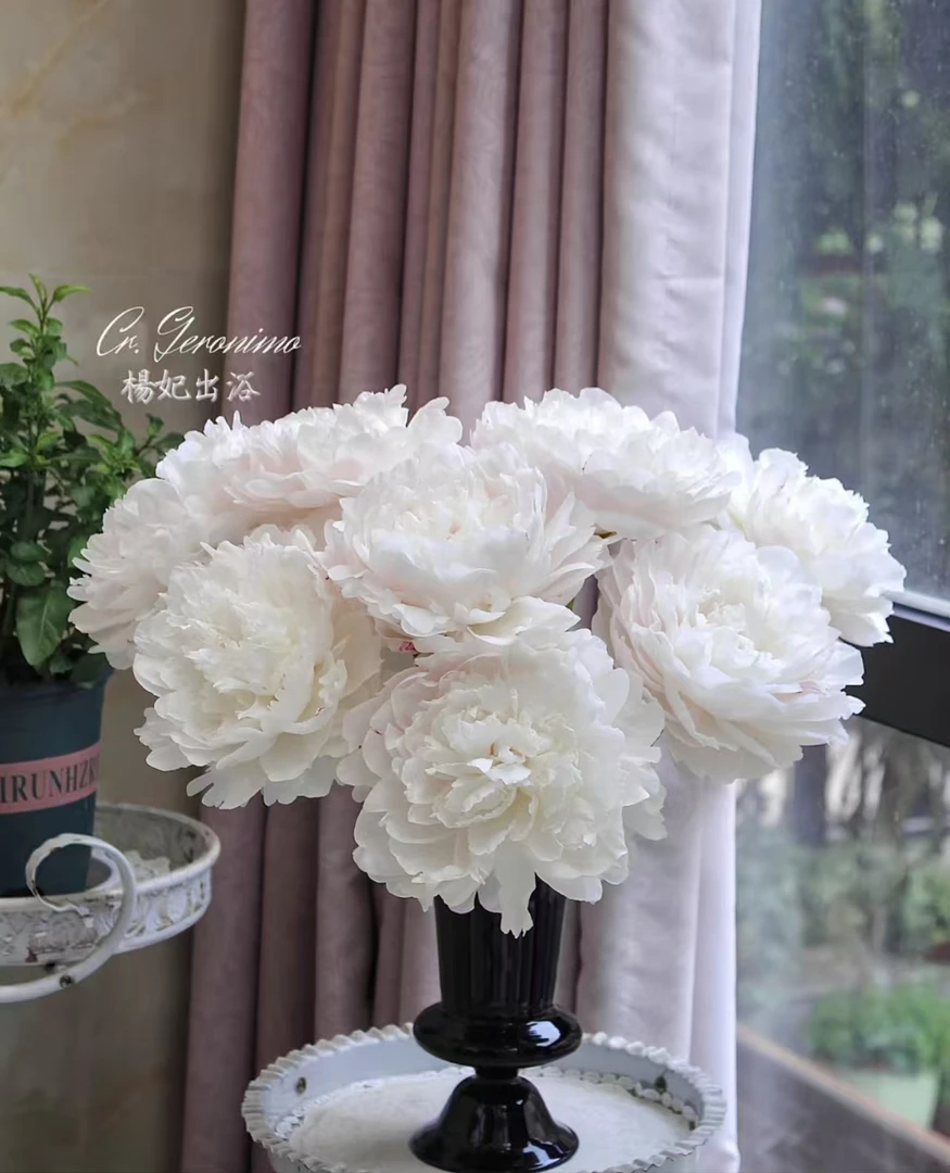 【菏泽芍药。杨妃出浴  链接】山东芍药产地直发 | 新鲜采摘