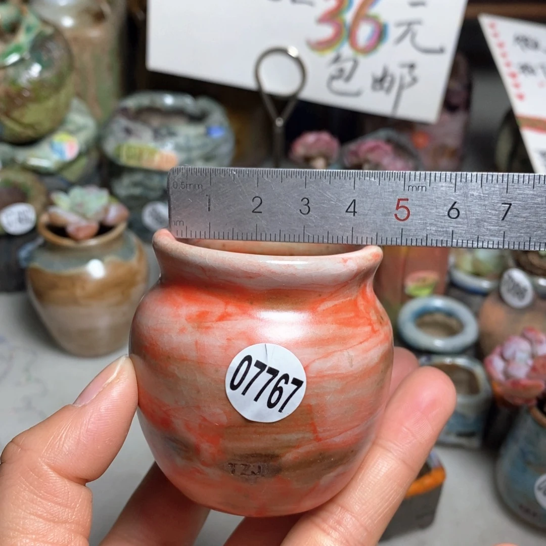 花盆拍5送一个小礼物