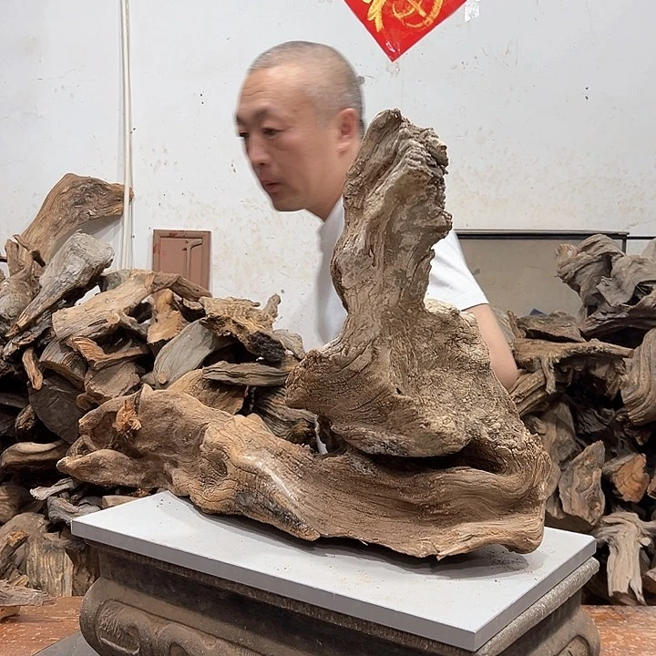 柏木呆*呗我们的生活也是如此的丰富