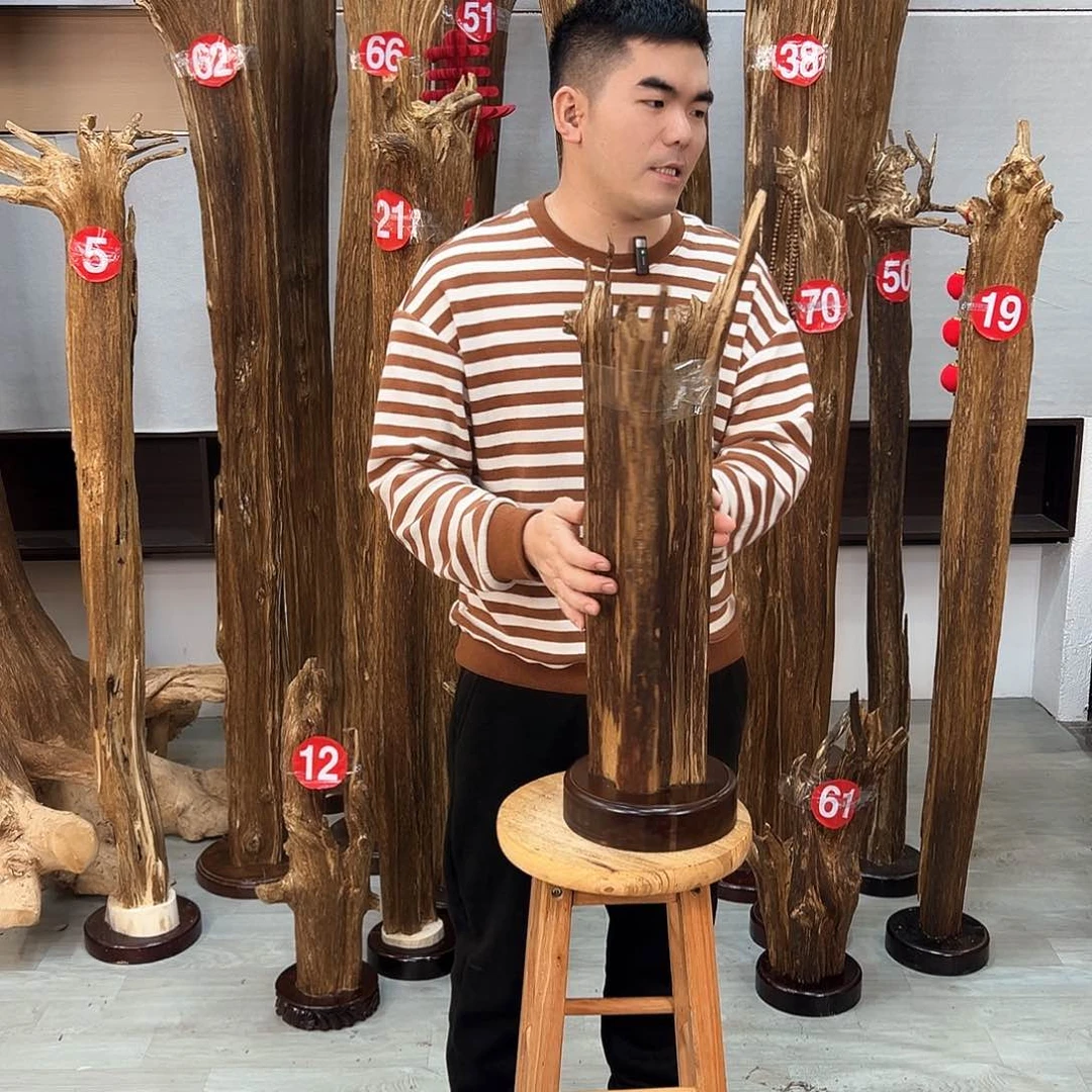 沉香摆件卢*海南沉香摆件