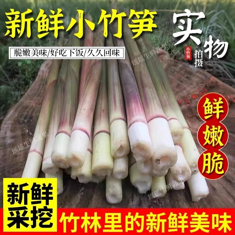 湖南新鲜野生小竹笋春笋鲜竹笋笋子水竹笋纯天然山笋剥壳