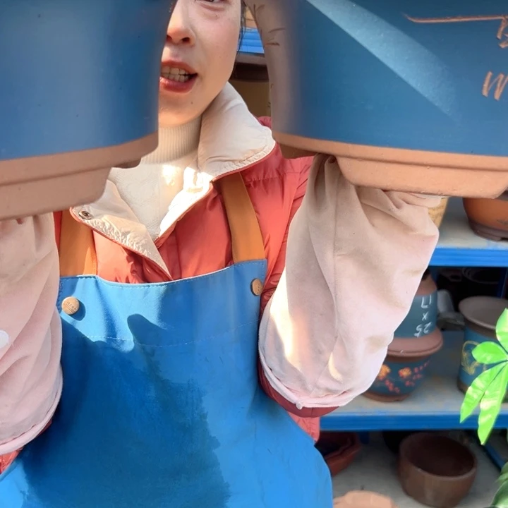 27+27蓝票口花盆花盆花盆花盆