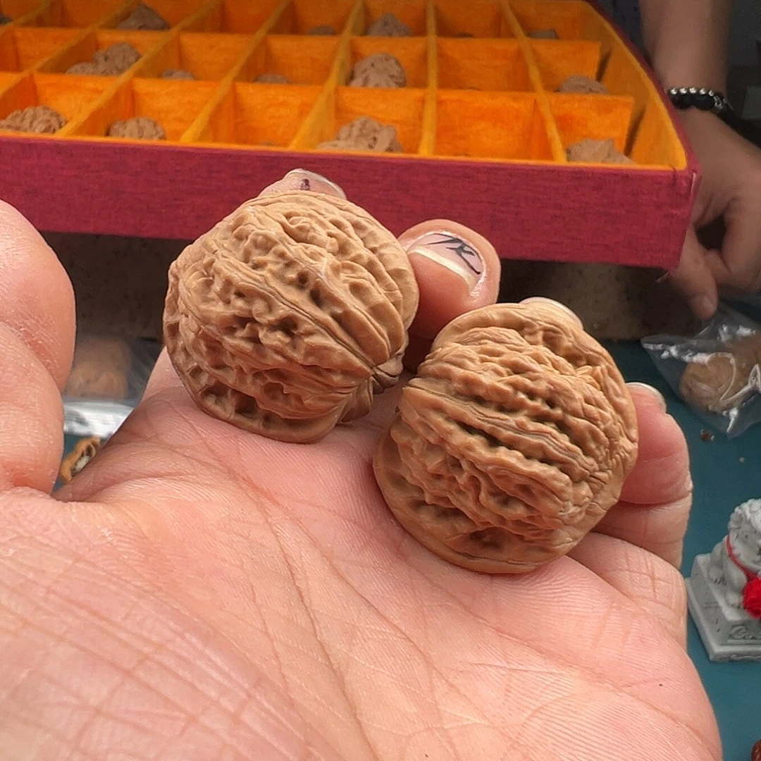 桃核吊坠全尺寸汗高楼随机发