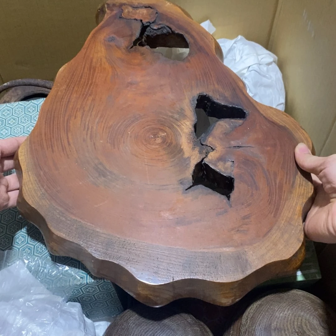 碟不喜欢细菌学家开心快点