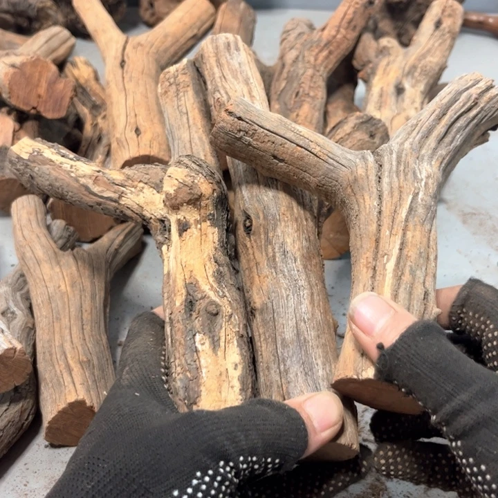 陋***颜大果紫檀（缅甸花梨）