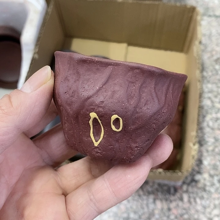 紫砂紫砂紫砂紫砂紫砂中