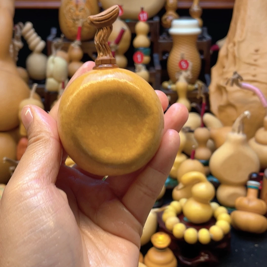 ?*大自然的秘密第十一节的