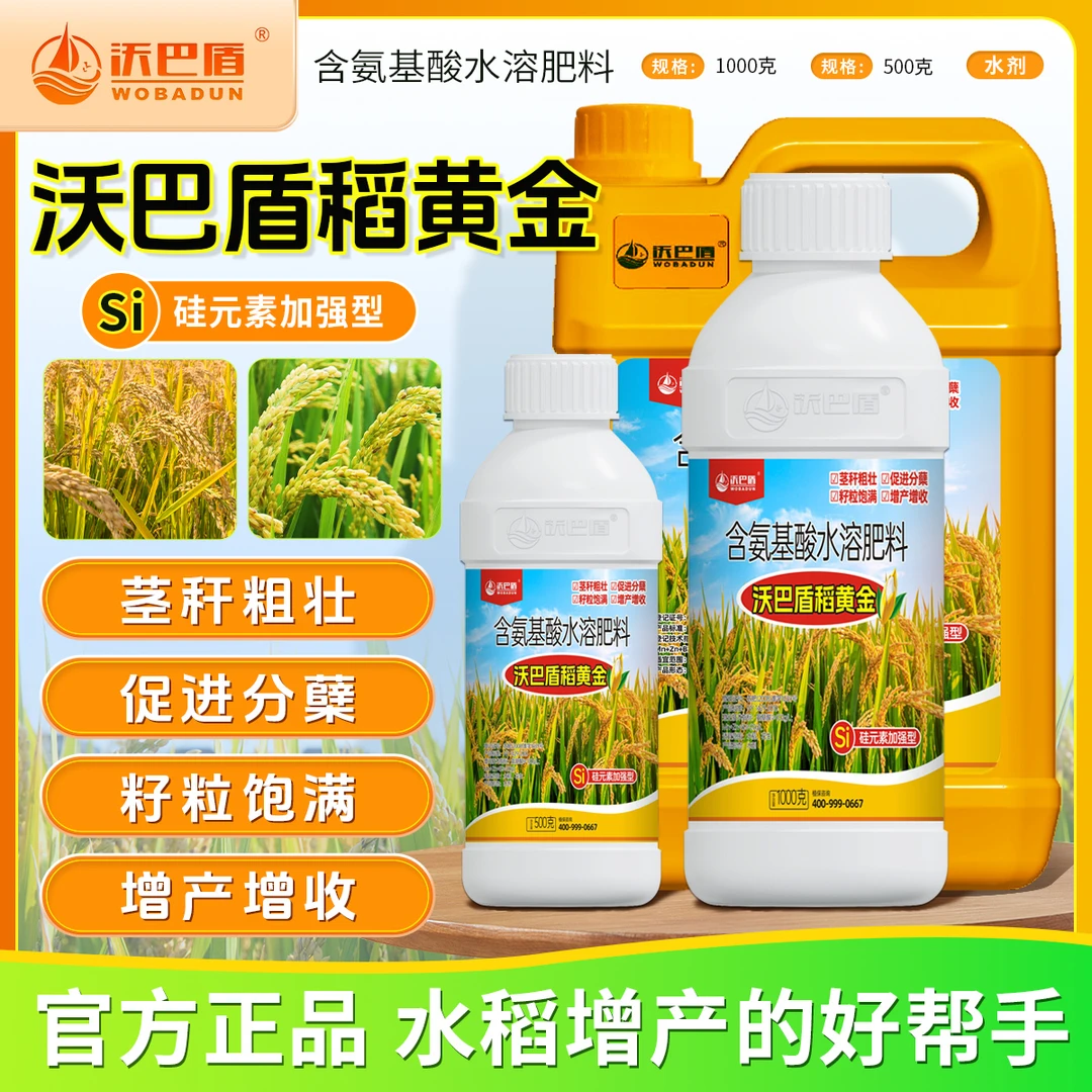 沃巴盾稻黄金氨基酸水溶肥料抗倒伏茎秆粗壮籽粒饱满稳产丰收