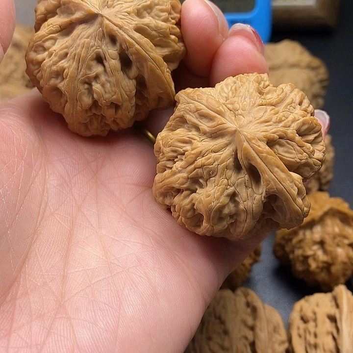 多***°吊坠龙脊菩提粗筋46