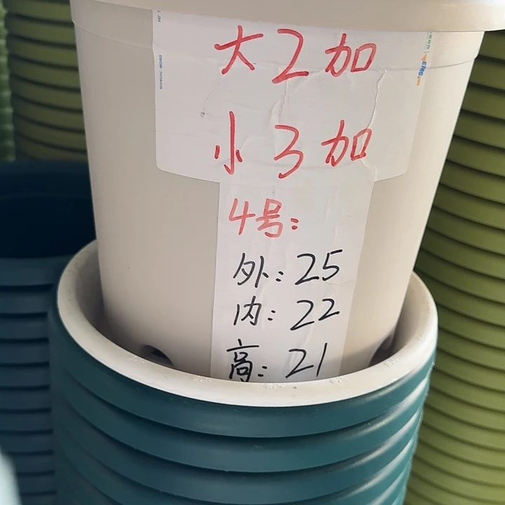 四季4号灰白无托10个口径25