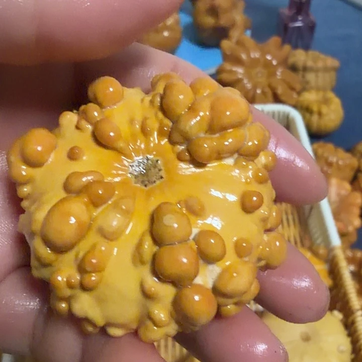 ꧁***꧂墨西哥七彩疙瘩葫芦瑕疵不退货