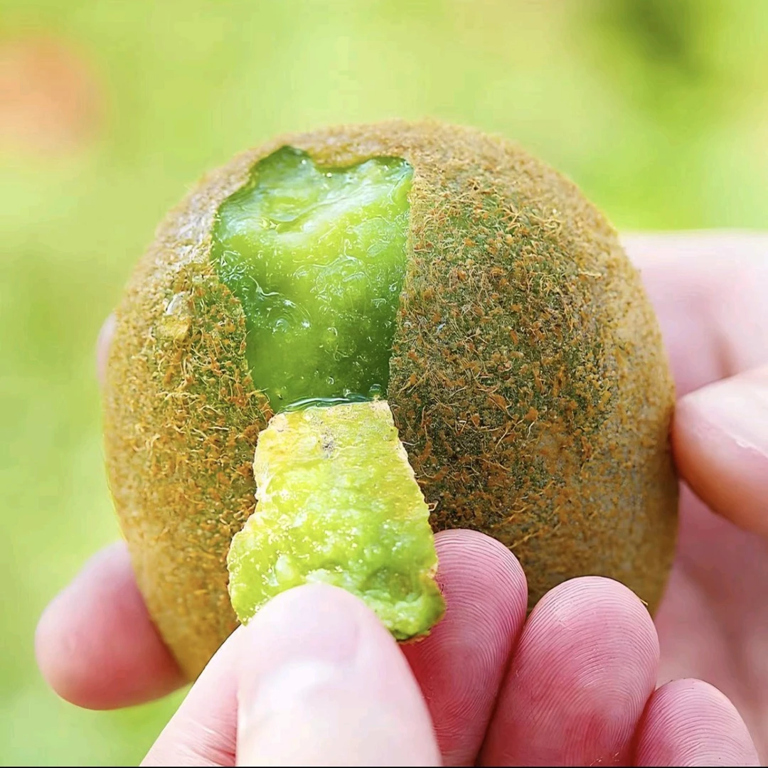 陕西徐香绿心猕猴桃 5元/斤