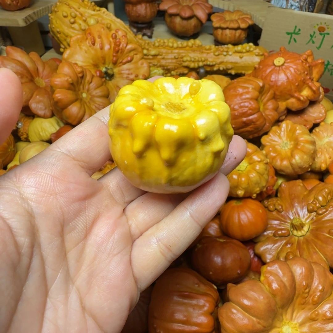 A***6特价葫芦不退不换