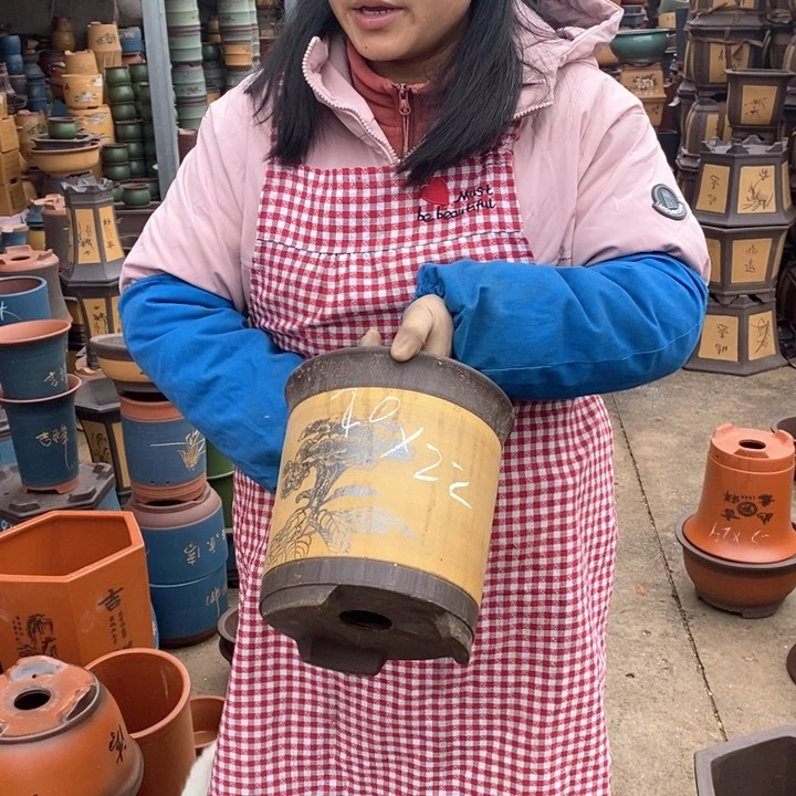 紫砂花盆盆栽花卉苗木种植