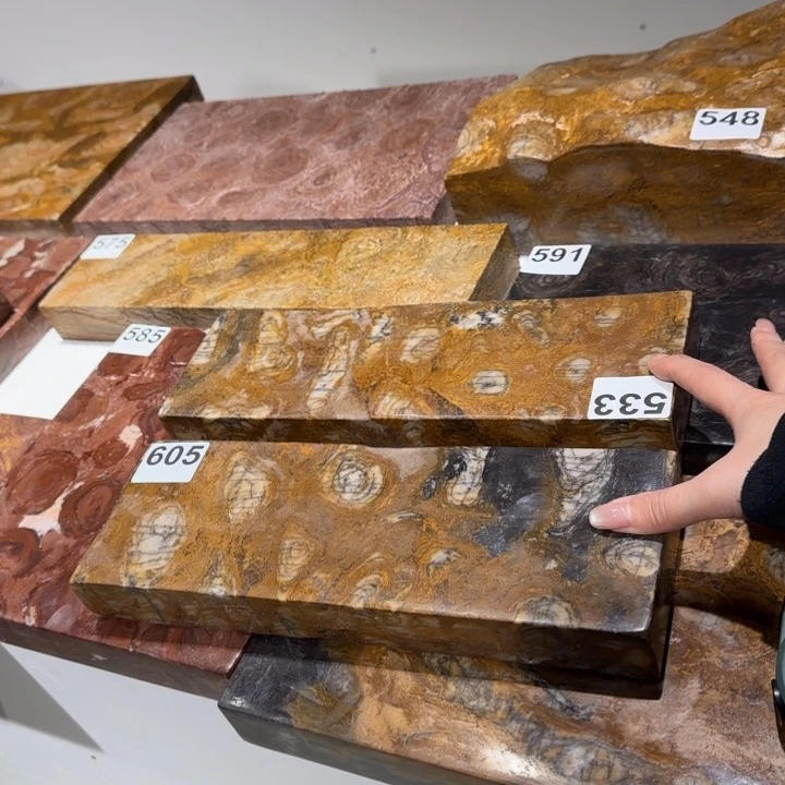 34444555511111小*头111111111