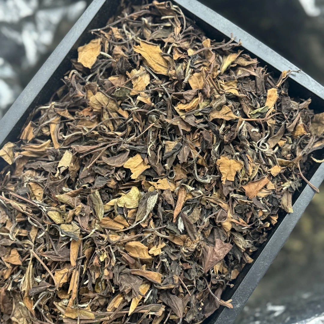 2015年白露寿眉 陈年寿眉 太姥山老枞寿眉 十年陈福鼎白茶节气茶