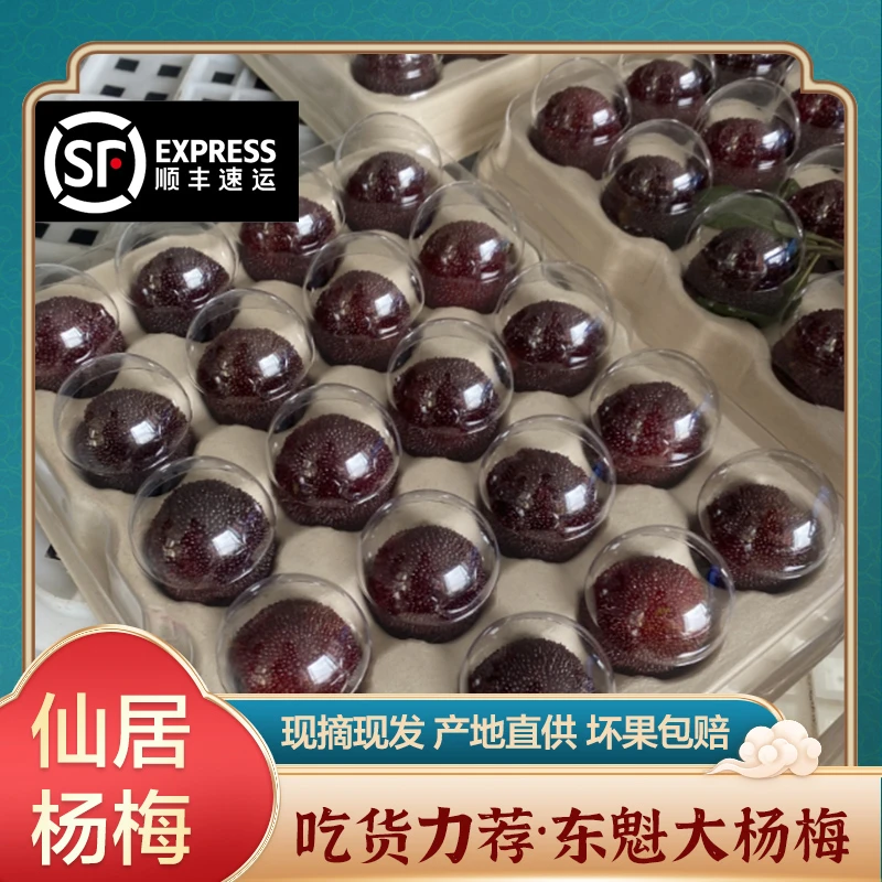 8A 大果【正宗仙居东魁杨梅】仙居杨梅颗粒装现采现发顺丰