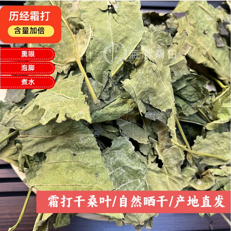 霜桑叶中药材泡水桑叶干250g霜打过的干桑叶泡茶霜后桑叶茶桑树叶