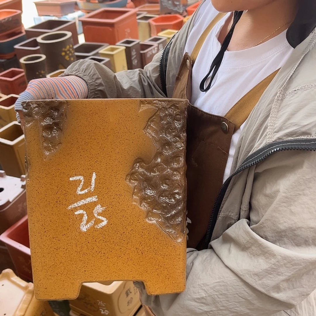紫砂花盆盆景艺术