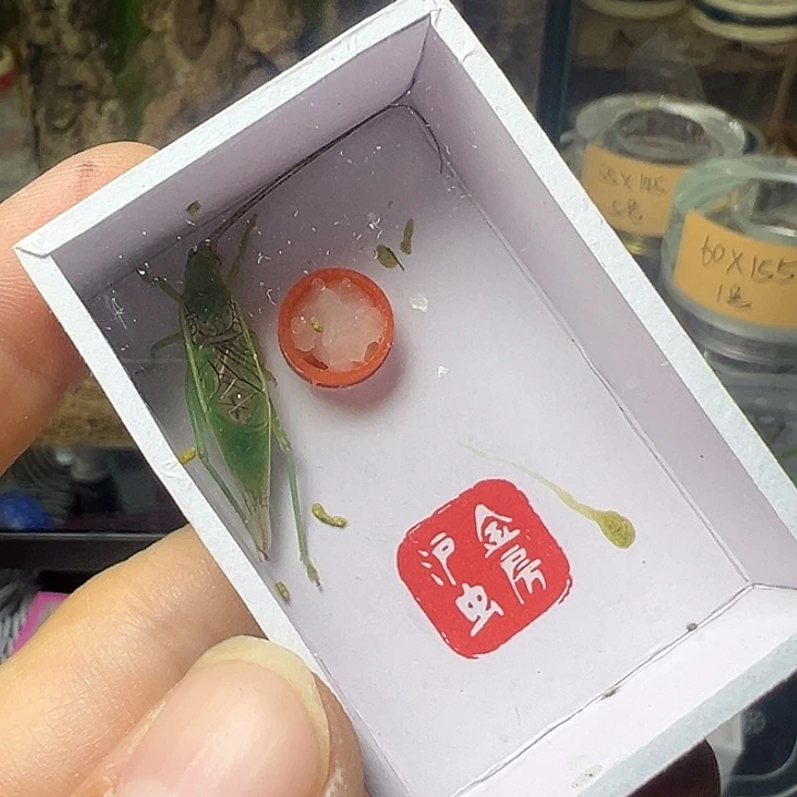 愣*儿哈哈哈哈哈哈哈哈哈哈