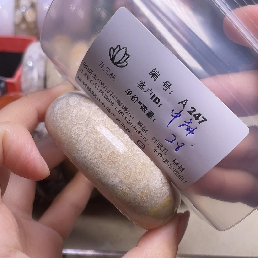 中***庸硅化玉未镶嵌手镯