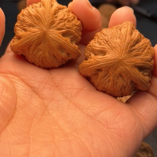 睡*了核桃核桃核桃核桃