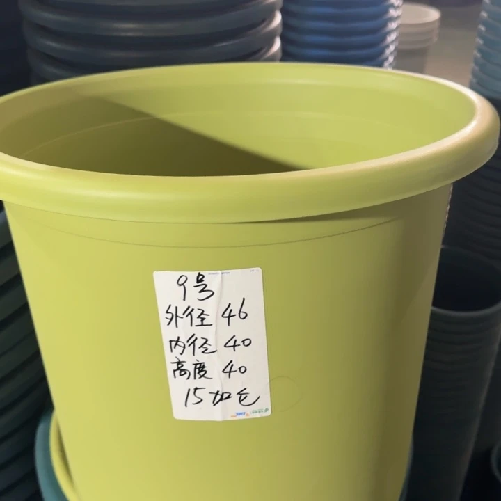 微瑕9号无托果绿4个