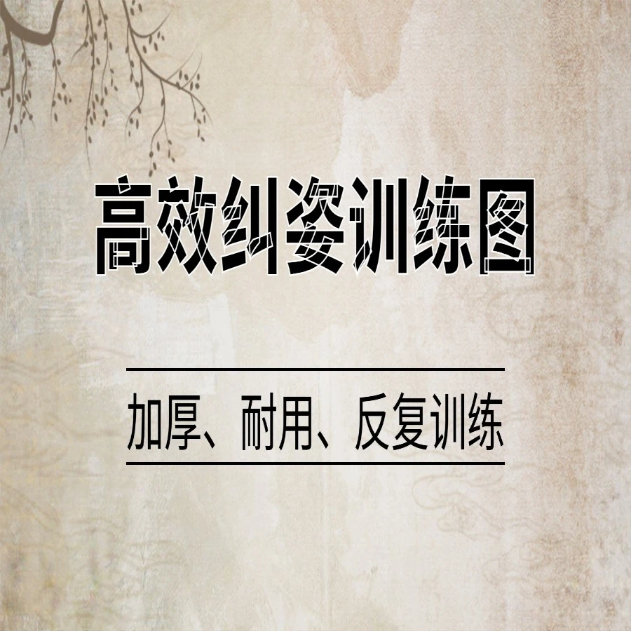 实战高效纠姿训练图