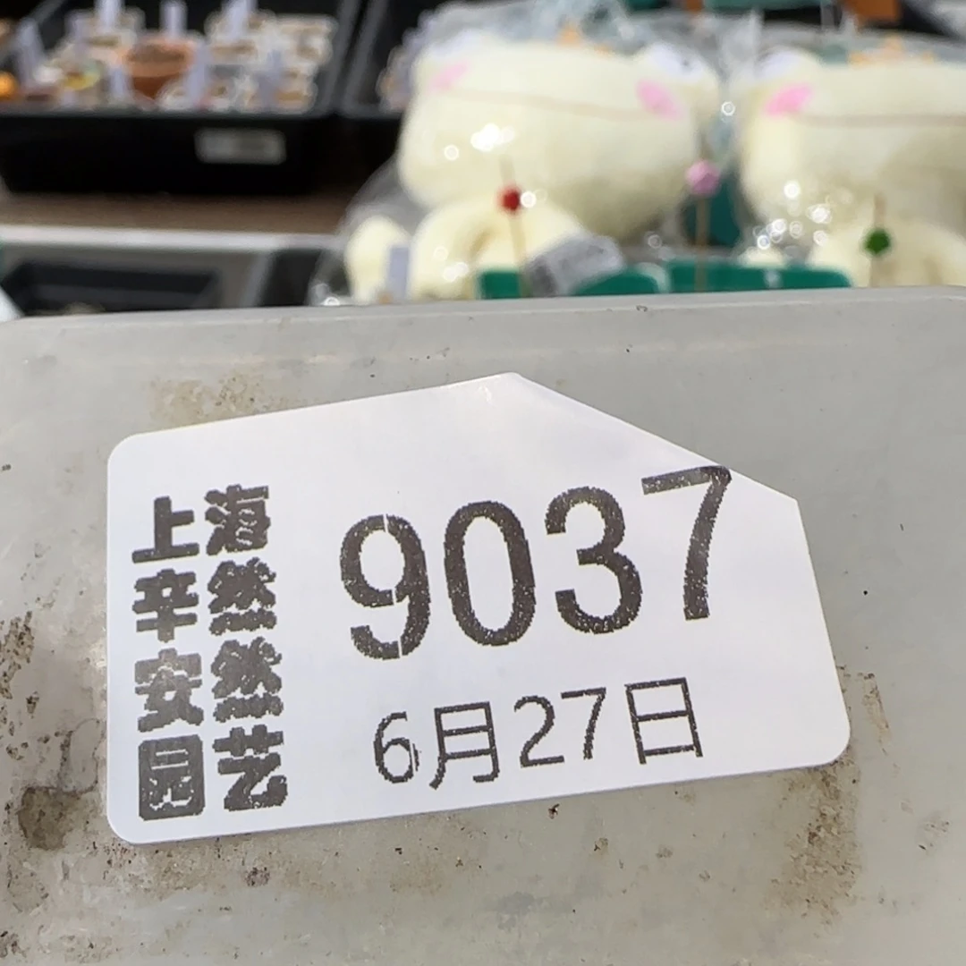 *****6.27。217。 9037。