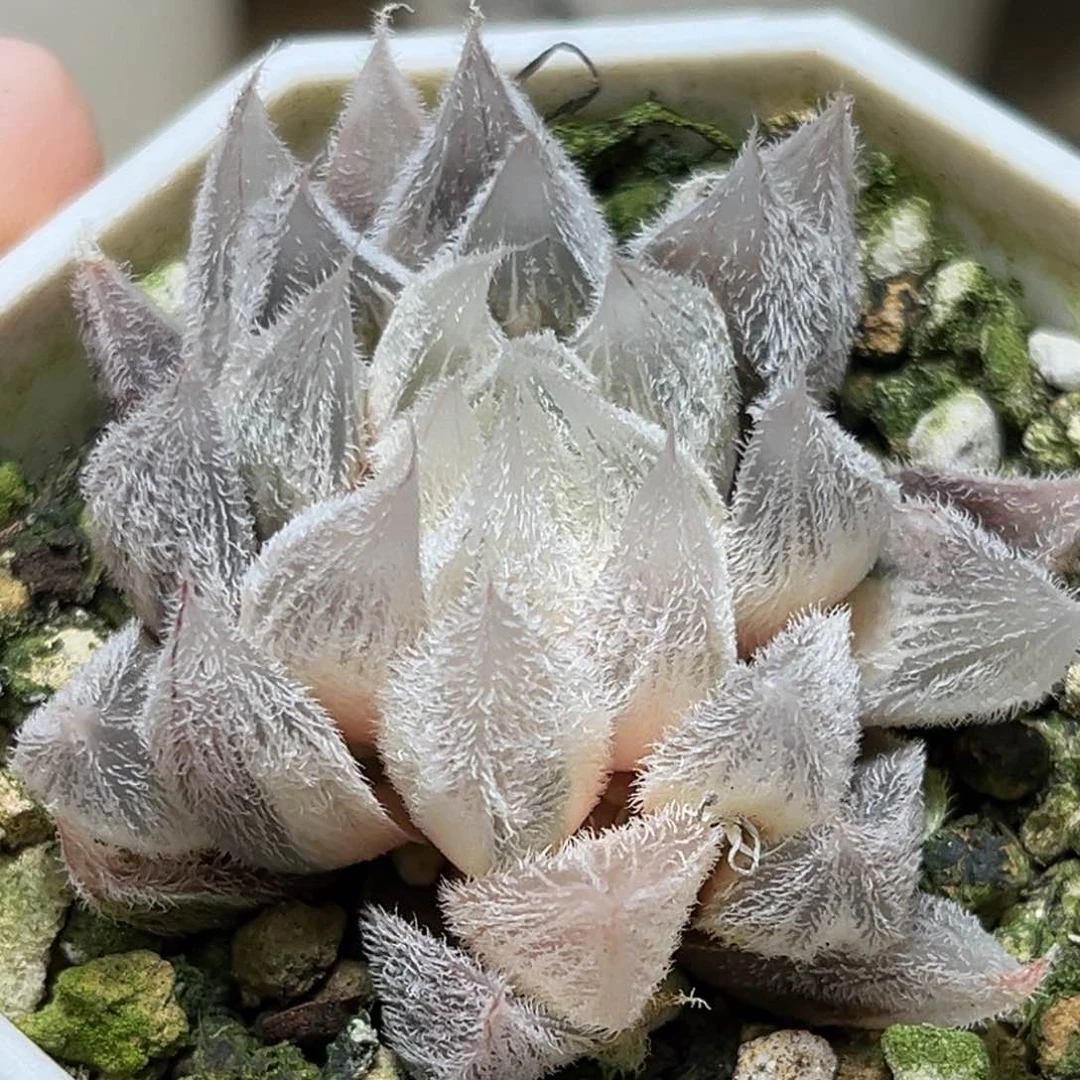 恭喜发财大吉大利840