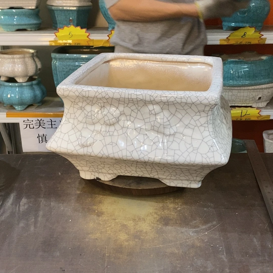 江****厂瑕疵花盆花盆里的花都